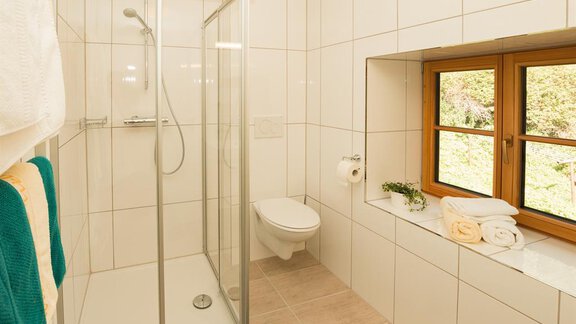 Badezimmer - Apart Falkneralm - Längenfeld