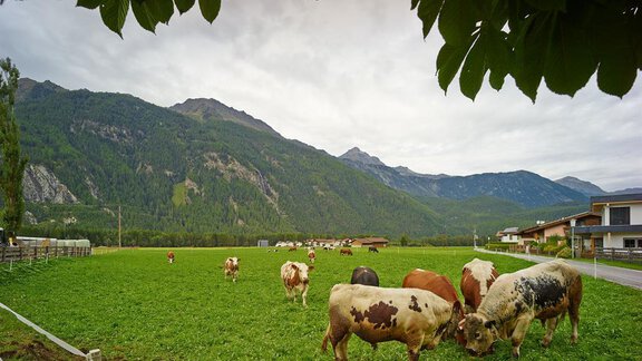 Urlaub am Bauernhof - Appartement am Sonnhof - Längenfeld