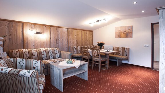 Panorama Typ Ötztal - Appartements Panorama - Längenfeld
