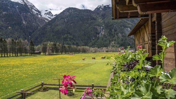 Ausblick vom Balkon auf den Fünffingerspitz - Ferienbauernhof Wendlshof - Längenfeld