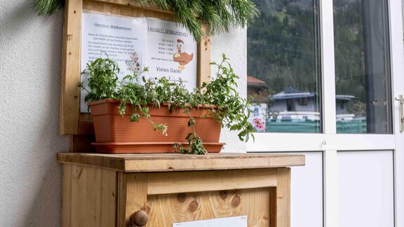 Honzarhof157 - Honzar Hof - Längenfeld