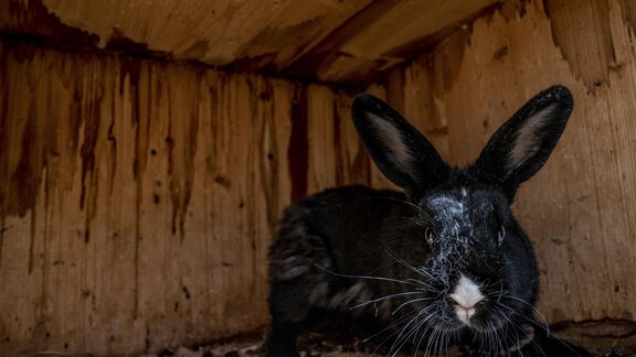 Honzarhof259 - Honzar Hof - Längenfeld