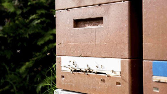 Honzarhof345 - Honzar Hof - Längenfeld