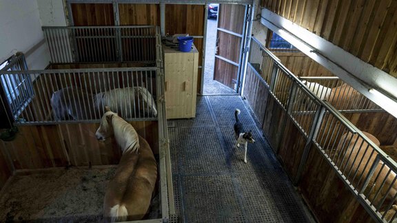 Honzarhof004 - Honzar Hof - Längenfeld