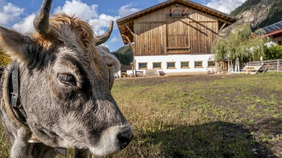 Honzarhof287 - Honzar Hof - Längenfeld