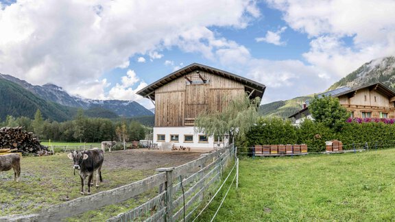 Honzarhof337 - Honzar Hof - Längenfeld