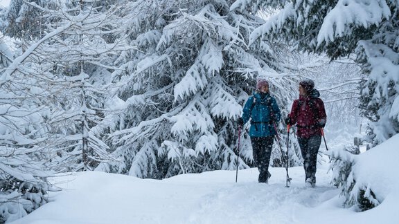 Winterwandern - Martinshof - Längenfeld