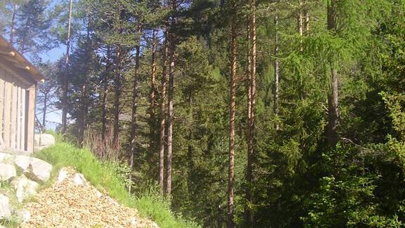 Garten - Apart Raphael - Niederthai