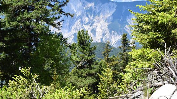Panorama - Wandern - Bichlhof - Niederthai