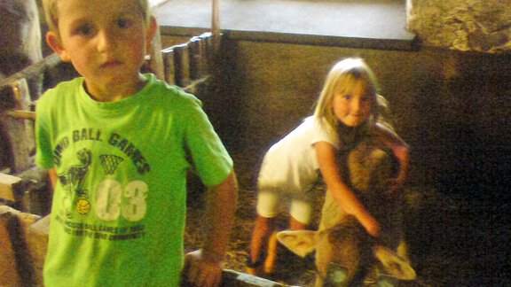 Kinder willkommen im Kuhstall - Bio-Berghof Zimmer - Niederthai