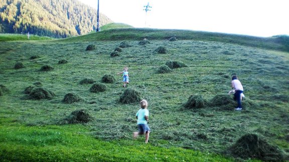 Heuernte mit Kindern - Bio-Berghof Zimmer - Niederthai