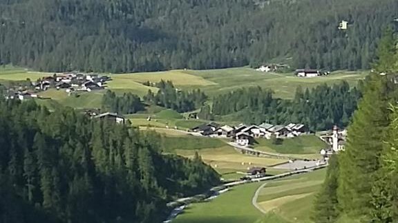 Niederthai - Bergmahder - Ferienwohnung Falkner Ernst - Niederthai