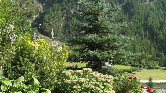 Der Hausberg / Hemerkogel - Gästehaus ban Kneissl´s - Niederthai