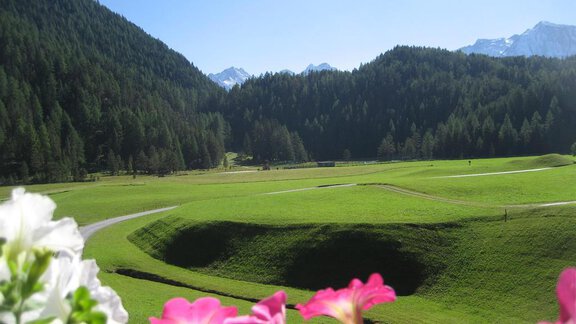 Blick vom Balkon - Gästehaus ban Kneissl´s - Niederthai