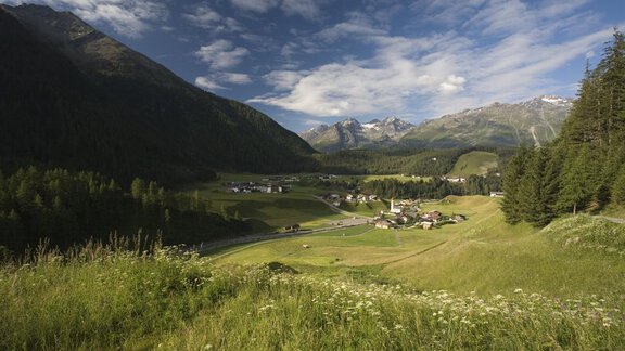 Hochebene Niederthai - Joggls Gästehaus - Niederthai
