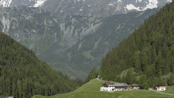 Niederthai Sommer - Müllerhof - Niederthai