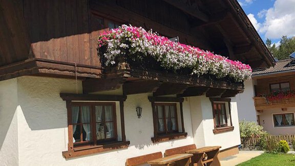 Waldesruh - Waldesruh Apartments - Niederthai