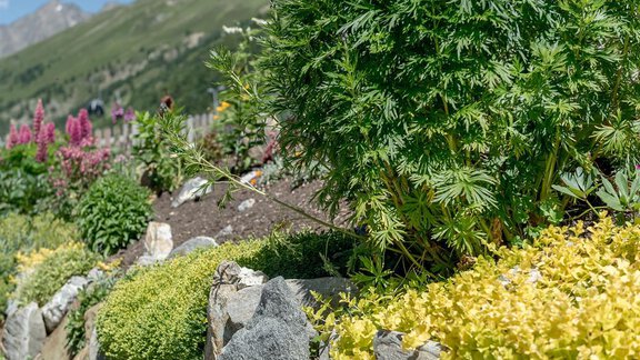 Garten - Haus Elisabeth - Obergurgl 
