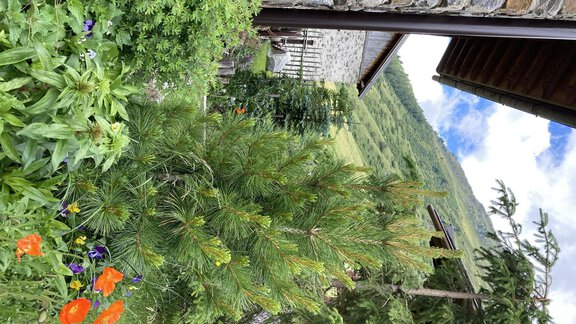 IMG_0065 - DreiHäuser - Obergurgl 