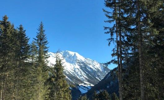 Blick Richtung Kühtai - Ferienhaus Föger - Ochsengarten