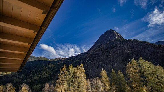 Ausblick - Apart Waldblick - Oetz