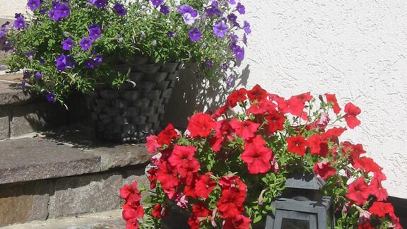 Sommer im Berghaus drei Tannen - Oetz