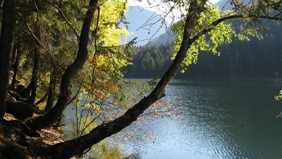 Piburgersee - Haus Diana - Oetz