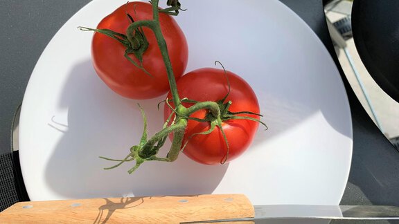 Detail BBQ - Easy Living Apartment Ötztal - Sautens