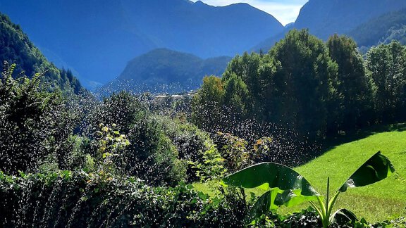 Garten I - Garden-Relax-Apart - Sautens
