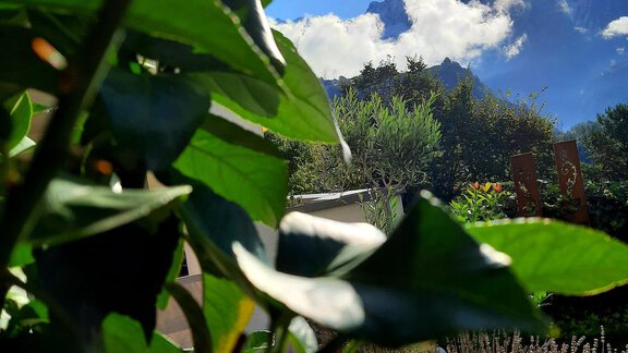 Sommerpanorama - Garden-Relax-Apart - Sautens