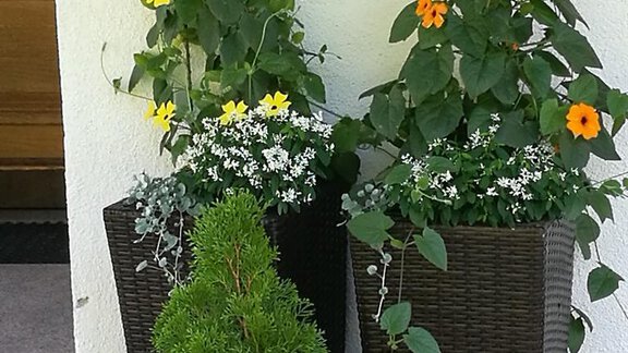 Garten I - Gästehaus Wiesenheim - Sautens