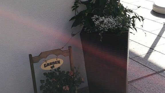 Blumendekoration - Gästehaus Wiesenheim - Sautens