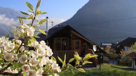 IMG_9680 - Haus Sautens - Sautens