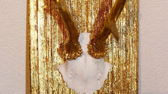 IMG_0323 - X-Alp Lodges - Sautens