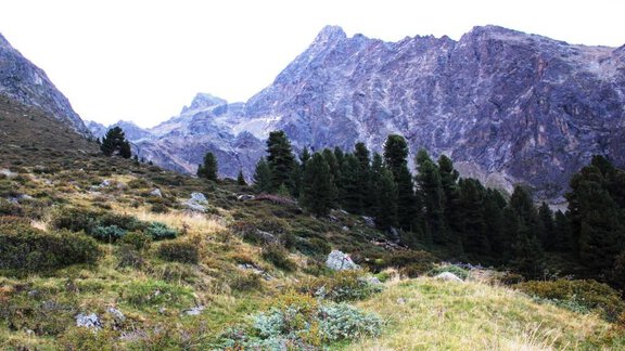 X-Alp Lodges Sommer2015 1024x768 (13) - Sautens