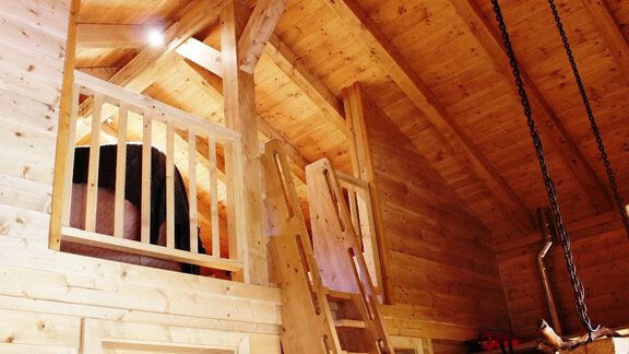 IMG_5102 - X-Alp Lodges - Sautens