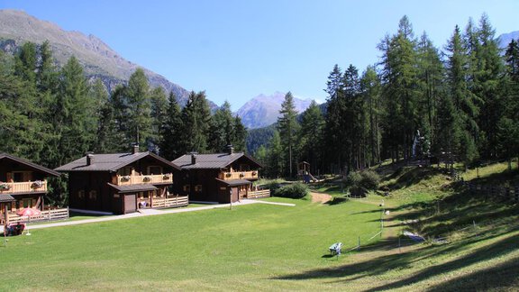 Two rustic wooden cabins in a green meadow, surrounded by tall trees. In the background, mountains can be seen under a blue sky. - Almdorf Waldesruh - Sölden