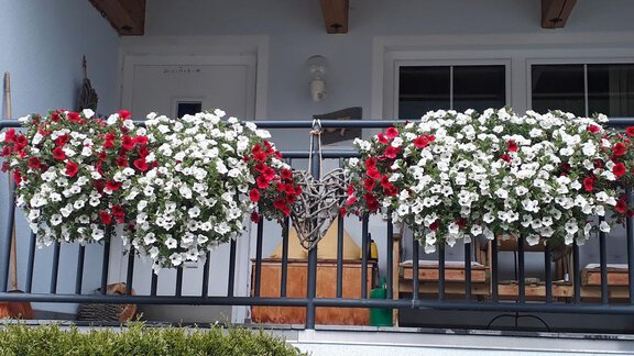 A balcony with lush flower boxes in red and white. In the background, a wooden overhang and heart-shaped decor are visible. - Appartement  Fabio - Sölden