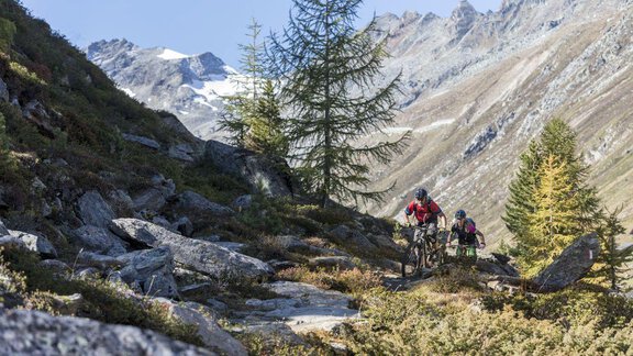 Two mountain bikers are riding a rocky path in the mountains. The landscape is characterized by high mountains and fir trees. - Appt. Gisela - Sölden