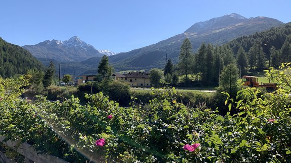 An idyllic landscape with green forests and mountains in the background. Colorful flowers and a clear blue sky complete the picture. - Appt. Ideal - Sölden