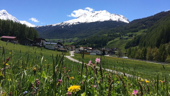 A picturesque landscape with colorful flowers and a clear sky. In the background, snow-capped mountains rise and a small village. - Appt. Ideal - Sölden
