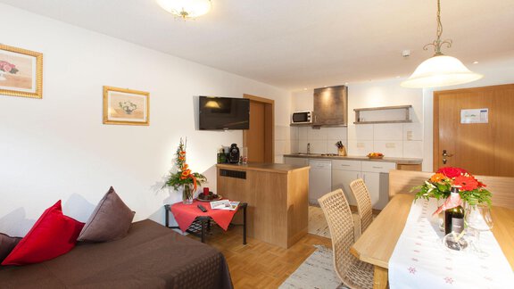 A bright and cozy apartment with a modern kitchen and a dining area. The space is tastefully decorated and offers an inviting atmosphere. - Gästehaus Kneisl - Sölden