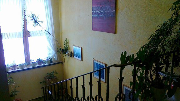 A bright staircase with yellow walls and plants. Pictures hang on the walls, and a window provides natural light. - Gästehaus Martin - Sölden