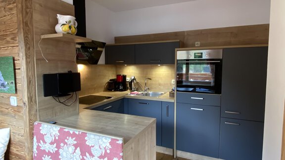 A modern kitchenette with wood paneling and gray cabinets. The furnishings are designed to be functional and welcoming. - HAUS ERIKA apartments - Sölden