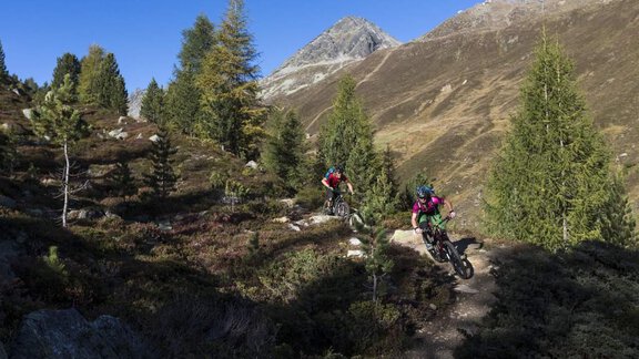 Two mountain bikers ride on a narrow path through a wooded mountain landscape. In the background, there are tall mountains and a clear blue sky. - Haus Montjola - Sölden