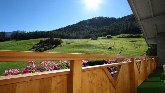 A beautiful view from a balcony overlooking the green landscape with blooming plants in the foreground. In the background, mountains and a radiant blue sky can be seen. - Pension Charly - Sölden