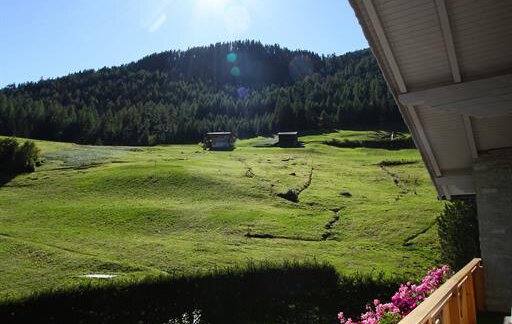 A sunny day with a view of green meadows and hills. Colorful flowers in a balcony frame give the scene an inviting atmosphere. - Pension Charly - Sölden