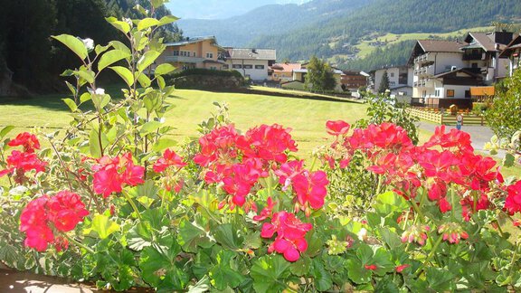 Colorful geraniums bloom in a window box in front of a picturesque mountain landscape. In the background, houses and green meadows can be seen. - Top Apart Daniela - Sölden