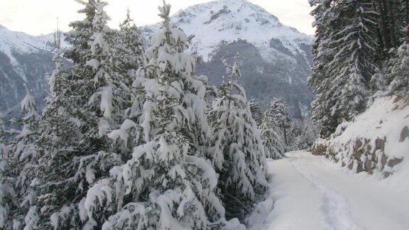 Winterwandern in Farst - Alpenchalet Farst - Umhausen