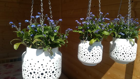 Blumenliebe - Appartement Bergheim - Umhausen